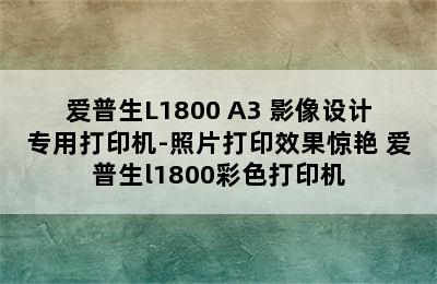 爱普生L1800 A3+影像设计专用打印机-照片打印效果惊艳 爱普生l1800彩色打印机